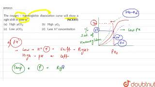 The oxygen  haemoglobin dissociation curve will show a right shift in case of [upl. by Acinoda978]