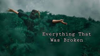 Everything That Was Broken Poem by Mary Oliver [upl. by Jaehne572]