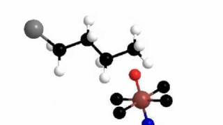 Hydroxylation of An Aliphatic Compound [upl. by Skvorak964]