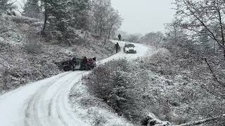 Grizedale Stages Rally 2023  Snow chaos stage 2 [upl. by Rezal]