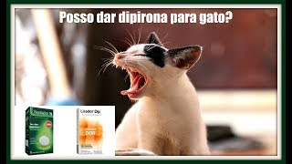 Posso dar dipirona novalgina para gatos [upl. by Monafo]