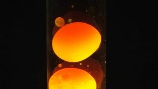 How To Make a Simple Lava Lamp At Home [upl. by Vorster]