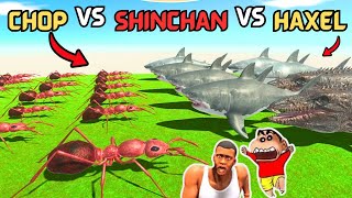 ANTS vs SHINCHAN vs CHOP vs HAXEL TEAM in Animal Revolt Battle Simulator [upl. by Giulio]