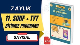 TYT  11Sınıf Çalışma Programı  Sayısal  7 Aylık  Ücretsiz  YKS  PDF [upl. by Gaves]