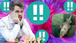 Brilliant Stockfish vs Magnus Carlsen chess game 17 [upl. by Gildas680]