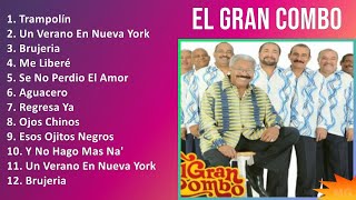 El Gran Combo 2024 MIX Las Mejores Canciones  Trampolín Un Verano En Nueva York Brujeria Me [upl. by Yerggoeg]