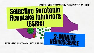 2Minute Neuroscience Selective Serotonin Reuptake Inhibitors SSRIs [upl. by Tonneson]