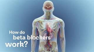 How do beta blockers work [upl. by Halilahk]