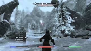 G4G The Elder Scrolls V Skyrim Guía 100  Español Parte 143 Misiones de Falkreath [upl. by Hailey776]