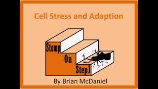 Hyperplasia Hypertrophy Metaplasia amp Atrophy USMLE [upl. by Aimaj114]