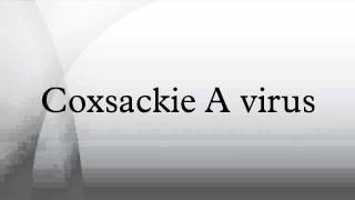 Coxsackie A virus [upl. by Josephina]