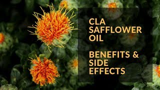 CLA Safflower Oil Benefits and Side Effects [upl. by Annabell]