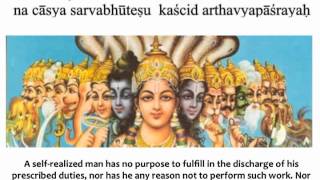 Bhagavad Gita Chapter 3  Verse 18 [upl. by Ennalorac479]