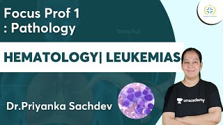 Hematology  Leukemias  Focus Prof 1  Pathology  Unacademy Future Doctors  DrPriyanka [upl. by Stalker936]