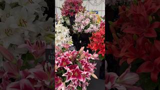 BBC Gardeners’ World Live NEC 2024 Floral Marquee Beautiful Flower Displays bbcgardenersworld [upl. by Irtimd594]