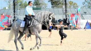 2010 World Equestrian Games [upl. by Rep]