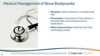 Sinus Bradycardia [upl. by Ihculo535]