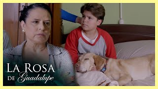 La abuela de Nico no soporta a su perro Pretzel  La rosa de Guadalupe 14  El elefante azul [upl. by Yelad]