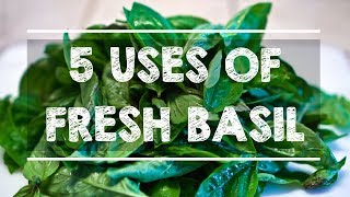 5 Uses of FRESH BASIL [upl. by Oinotnaesoj]