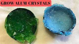 How to grow Alum Crystals at Home  Real Easy [upl. by Milburr291]