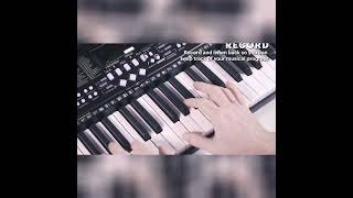 61 Keys Electronic Digital Music Piano Keyboard [upl. by Naened]