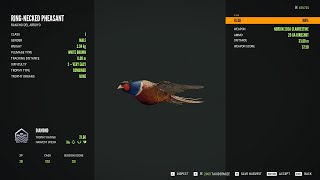 RingNecked Pheasant  3Diamond  theHunter Call of the Wild 2023 11 22 23 [upl. by Nod]