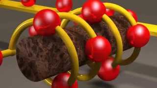 Inductors and Inductance [upl. by Rossy]