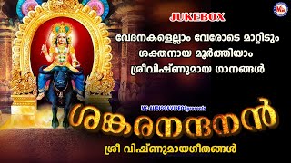 വേദനകളെല്ലാം വേരോടെ മാറ്റിടും ശക്തനായ മൂർത്തിയാം ശ്രീവിഷ്ണുമായ ഗാനങ്ങൾ  Vishnumaya Songs [upl. by Gabi]