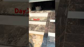 Day22 ramp design tiles youtubeshorts home contractor marble ￼￼ [upl. by Ameerak]