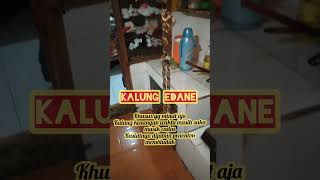 Edane isakuikie funny ngakak lucu comedy [upl. by Kyle]