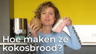 Hoe wordt kokosbrood gemaakt  Het Klokhuis [upl. by Bierman]