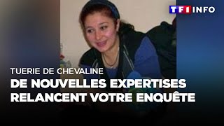 Tuerie de chevaline  de nouvelles expertises relancent votre enquête [upl. by Ker]