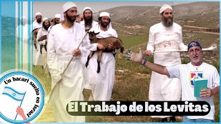 Los Levitas y las Tribus de Israel [upl. by Zerat]