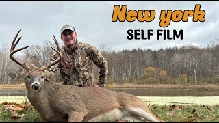 New York Giant Down 2024 Archery Buck [upl. by Muir]