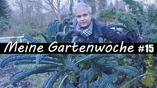 Meine Gartenwoche 15  Wintergemüse Ernten  Wichteln  Umgraben uvm [upl. by Eilsel]