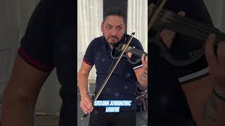 SRDJAN JOVANOVIC  LAVOVI music uzivo live muzika milanstrasni violin svadba [upl. by Yot242]