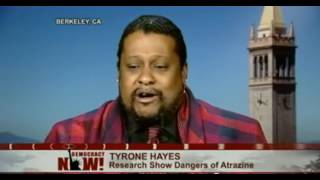 Hazards of Atrazine Herbacide Tyrone Hayes [upl. by Aniratak]