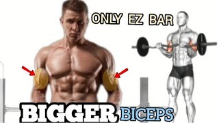 EZ Bar Bicep Curls The BEST Exercises for Bigger Arms [upl. by Ardnoyek]