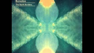 Bonobo  Dont Wait Official Audio [upl. by Alleuqcaj]