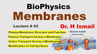 Membrane Transport and Potential Explained  Biophysics Overview  Chapter 02  Dr H Ismail [upl. by Corene]