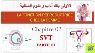 Chapitre 02 la fonction reproductrice chez la femme partie 01وظيفة التوالد عند المرأة [upl. by Norvall143]