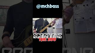 Scorpions  The Zoo shorts scorpions thezoo [upl. by Ayrad]