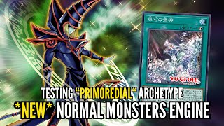 Best Dark Magician Deck EVER Primal Power Unleashed [upl. by Sharma]