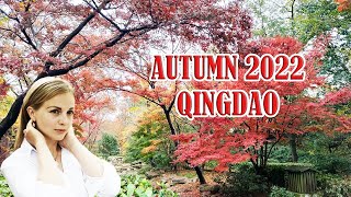 Why autumn is my favorite season in Qingdao  The most beautiful city in China  Cosy fall video [upl. by Ruhnke]