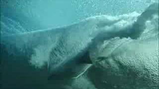 Bodyboarding  Teahupoo Challenge 2003  excerpt 3 [upl. by Mollie736]