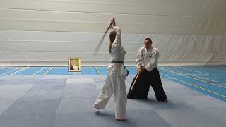 Aikido  BokkenTraining [upl. by Horvitz]