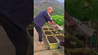 Growing vegetables starts with cultivating the soil rurallife garden plantingtips gardeningtips [upl. by Allis]