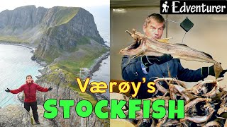 Norways 1000year Stockfish Tradition [upl. by Ahsaet]