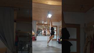 PhoenixReGrip on the PolePole tricks poledance fitness calisthenics challenge shorts gym [upl. by Eelrebmik345]