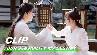 Clip Interchange Deal  Your Sensibility My Destiny EP17  公子倾城  iQiyi [upl. by Ainala]